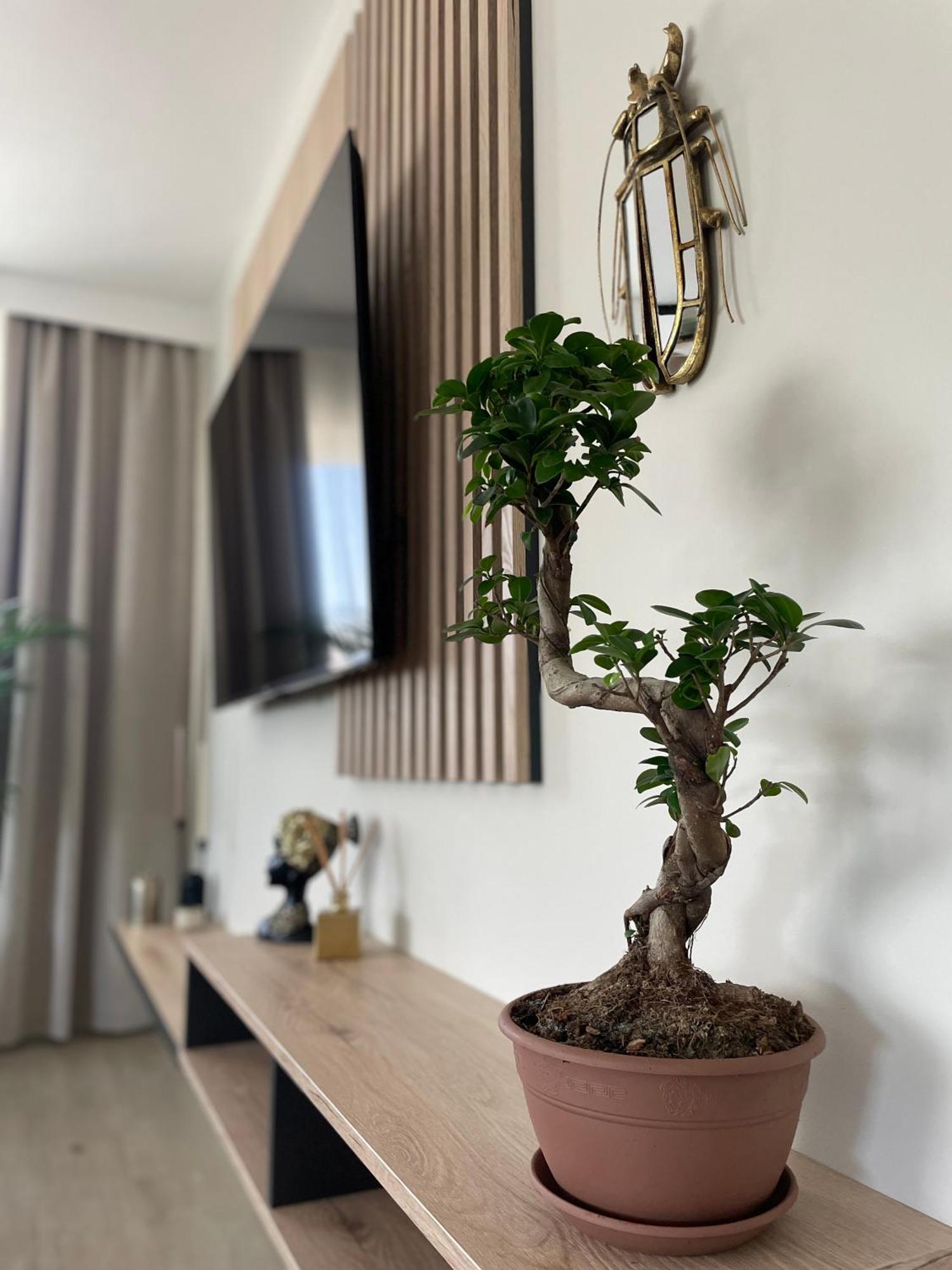 Apartament 13 Kielce Zewnętrze zdjęcie